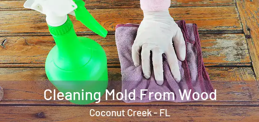  Cleaning Mold From Wood Coconut Creek - FL