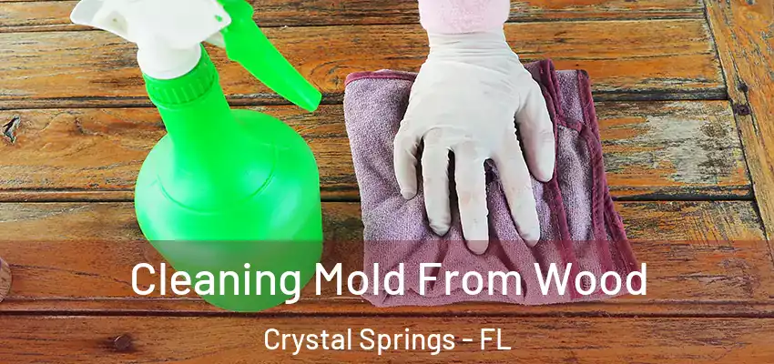  Cleaning Mold From Wood Crystal Springs - FL