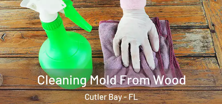 Cleaning Mold From Wood Cutler Bay - FL