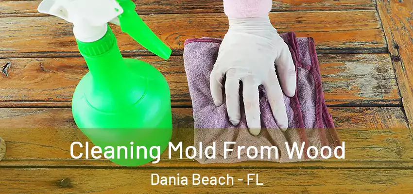  Cleaning Mold From Wood Dania Beach - FL
