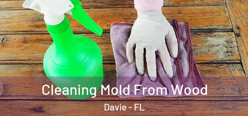  Cleaning Mold From Wood Davie - FL