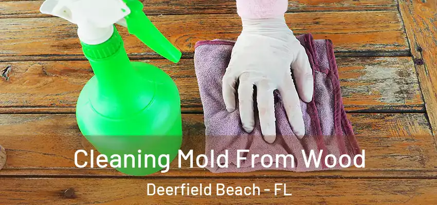  Cleaning Mold From Wood Deerfield Beach - FL