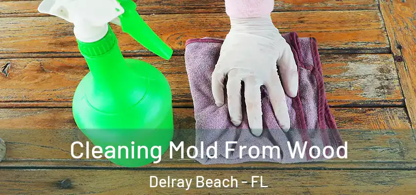  Cleaning Mold From Wood Delray Beach - FL