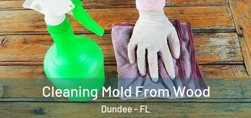  Cleaning Mold From Wood Dundee - FL