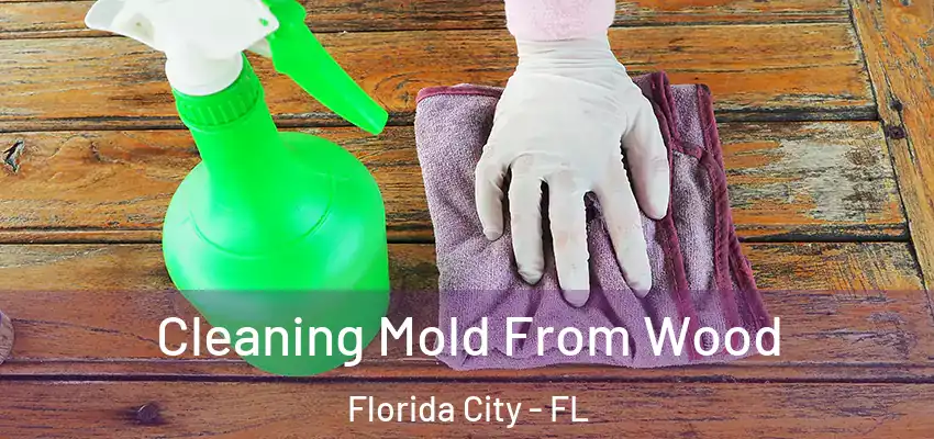 Cleaning Mold From Wood Florida City - FL