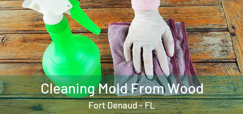  Cleaning Mold From Wood Fort Denaud - FL