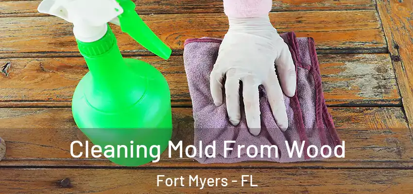 Cleaning Mold From Wood Fort Myers - FL