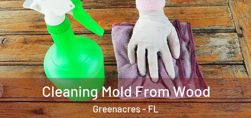  Cleaning Mold From Wood Greenacres - FL