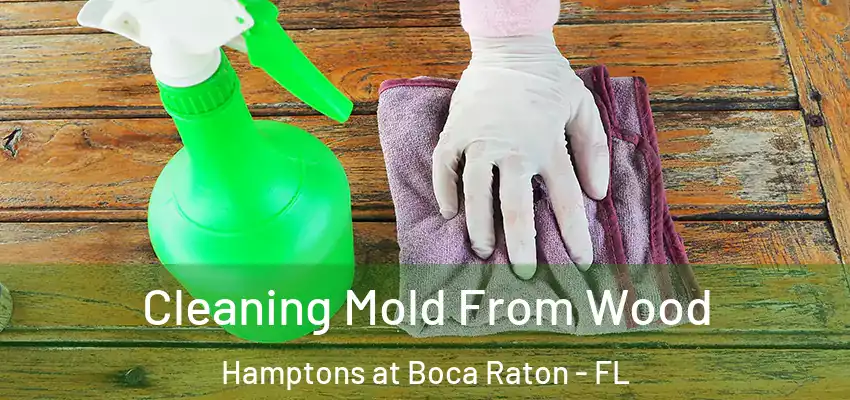  Cleaning Mold From Wood Hamptons at Boca Raton - FL