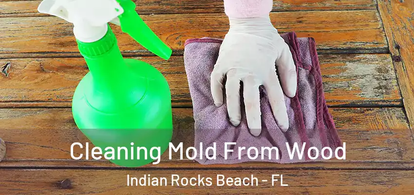  Cleaning Mold From Wood Indian Rocks Beach - FL