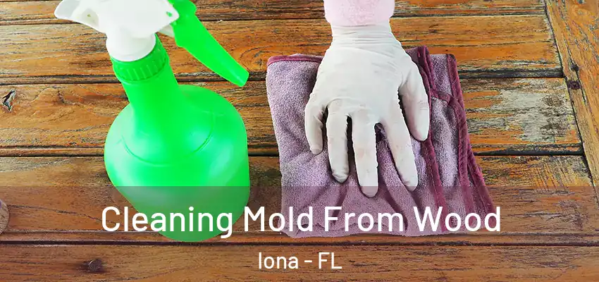  Cleaning Mold From Wood Iona - FL