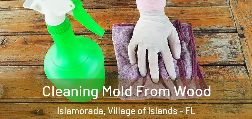 Cleaning Mold From Wood Islamorada, Village of Islands - FL