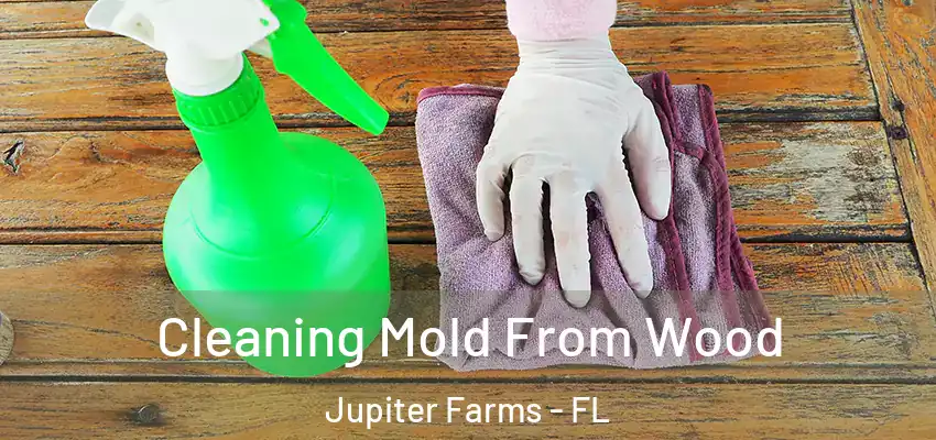  Cleaning Mold From Wood Jupiter Farms - FL
