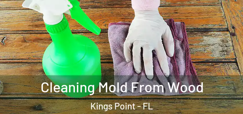  Cleaning Mold From Wood Kings Point - FL