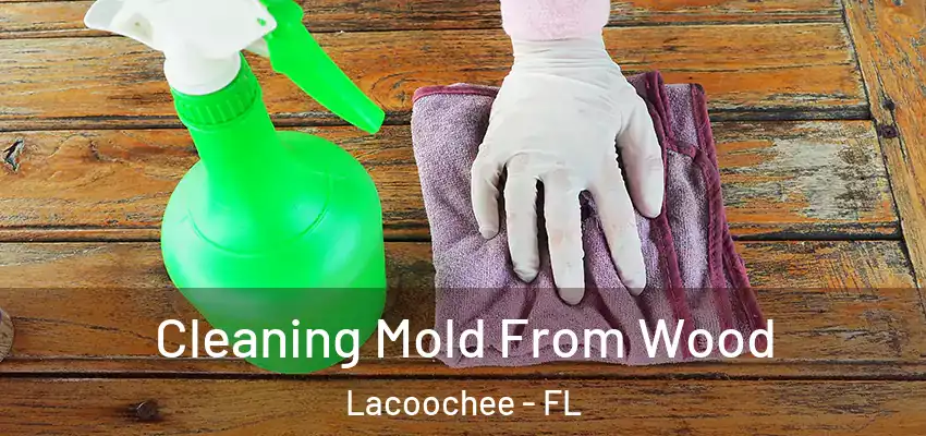  Cleaning Mold From Wood Lacoochee - FL