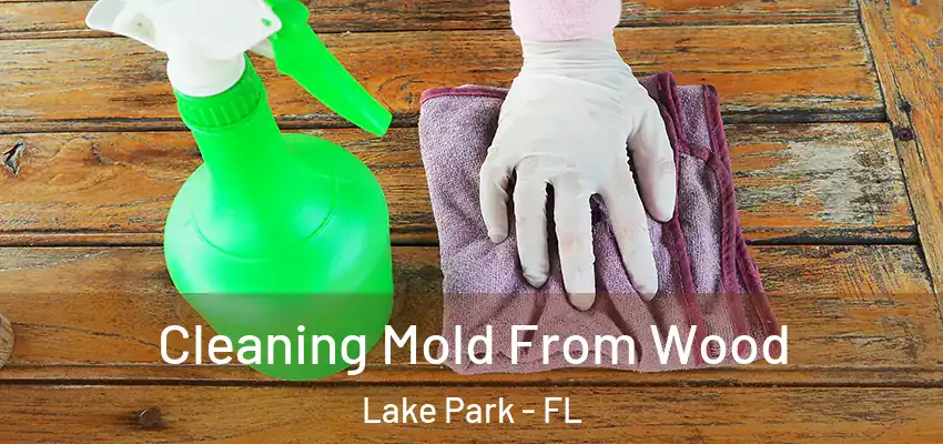Cleaning Mold From Wood Lake Park - FL