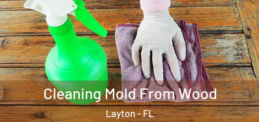  Cleaning Mold From Wood Layton - FL