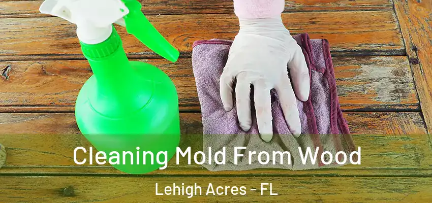 Cleaning Mold From Wood Lehigh Acres - FL
