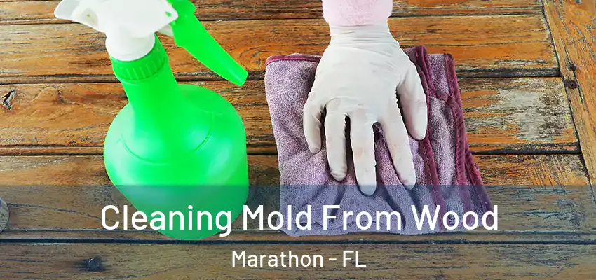  Cleaning Mold From Wood Marathon - FL