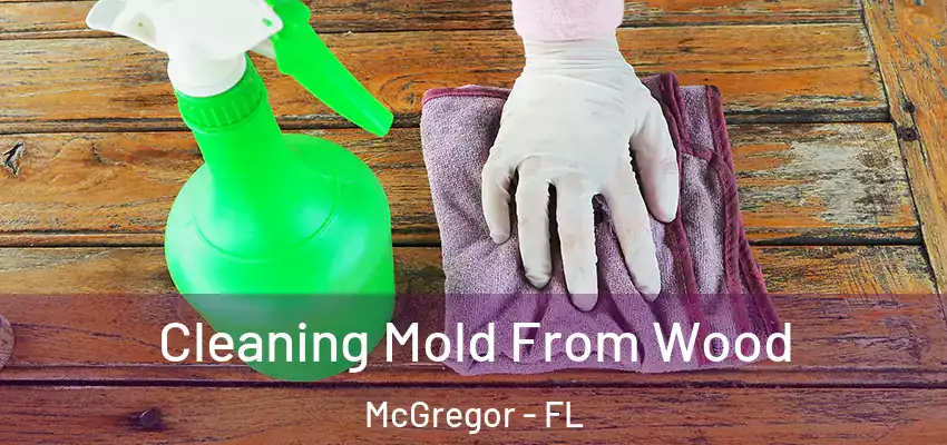 Cleaning Mold From Wood McGregor - FL