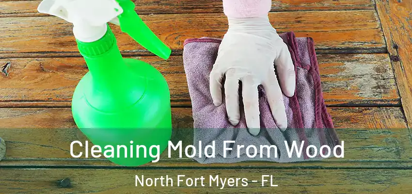 Cleaning Mold From Wood North Fort Myers - FL