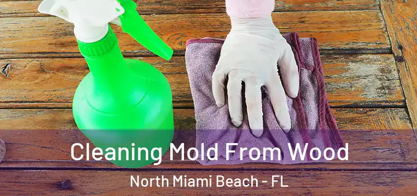 Cleaning Mold From Wood North Miami Beach - FL