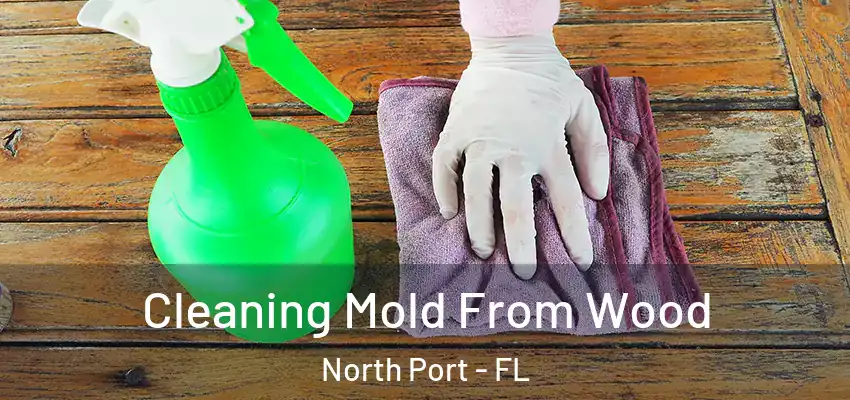  Cleaning Mold From Wood North Port - FL
