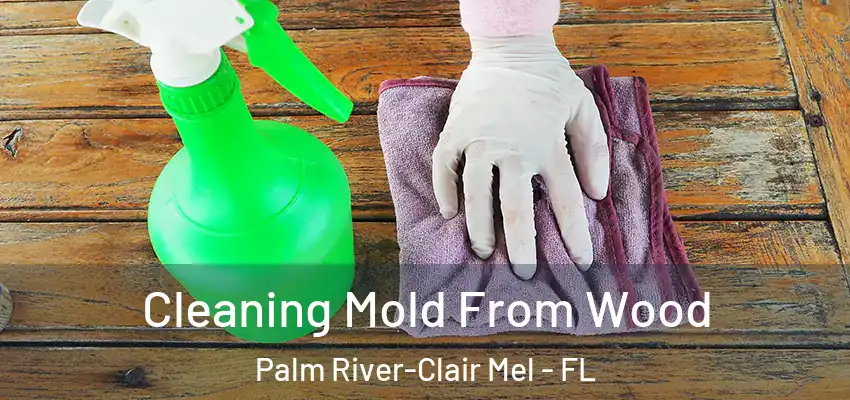  Cleaning Mold From Wood Palm River-Clair Mel - FL