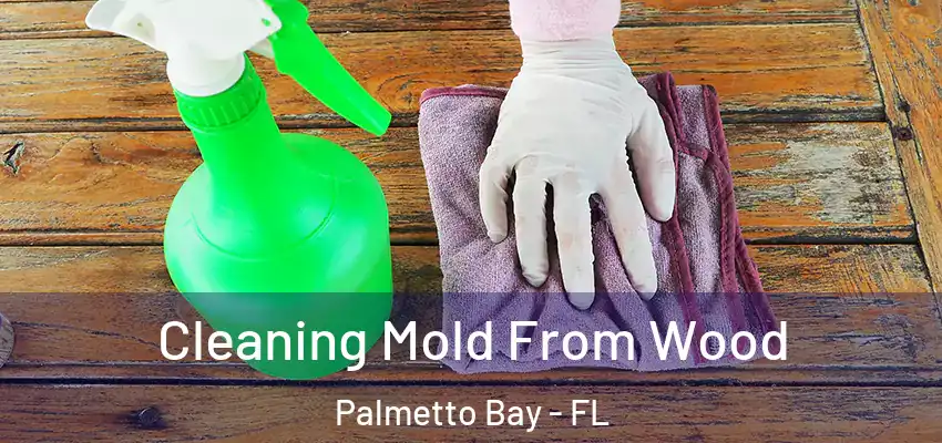 Cleaning Mold From Wood Palmetto Bay - FL