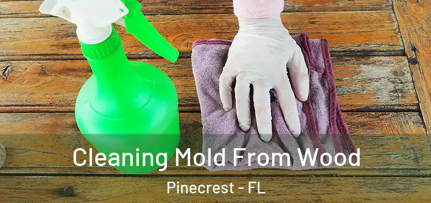 Cleaning Mold From Wood Pinecrest - FL