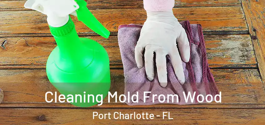 Cleaning Mold From Wood Port Charlotte - FL
