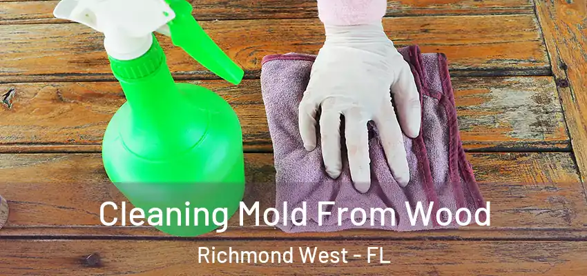 Cleaning Mold From Wood Richmond West - FL