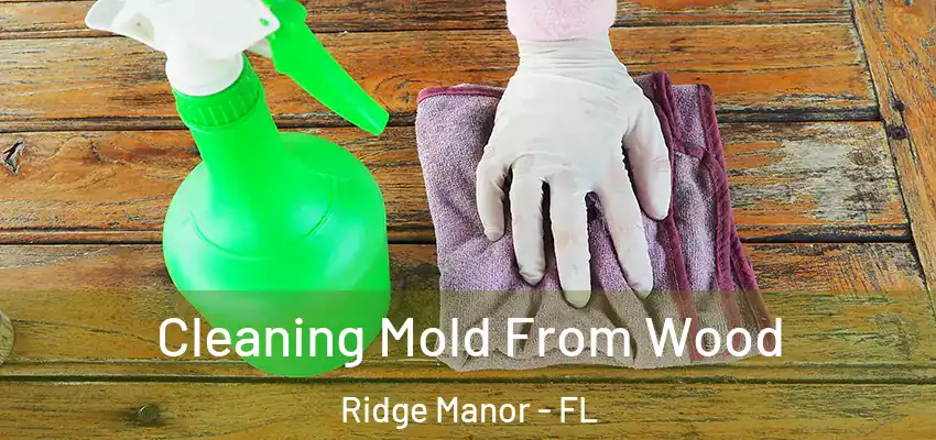  Cleaning Mold From Wood Ridge Manor - FL