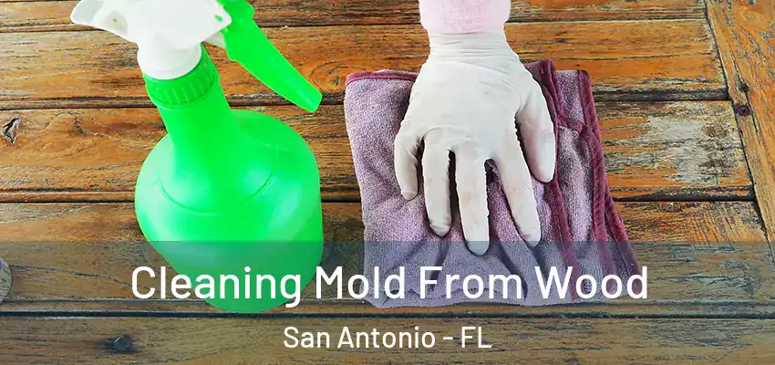  Cleaning Mold From Wood San Antonio - FL
