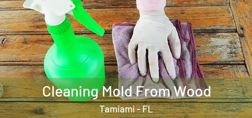 Cleaning Mold From Wood Tamiami - FL