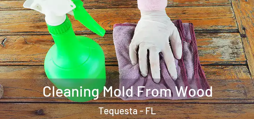 Cleaning Mold From Wood Tequesta - FL