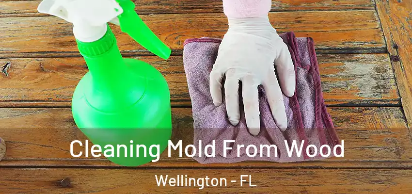  Cleaning Mold From Wood Wellington - FL
