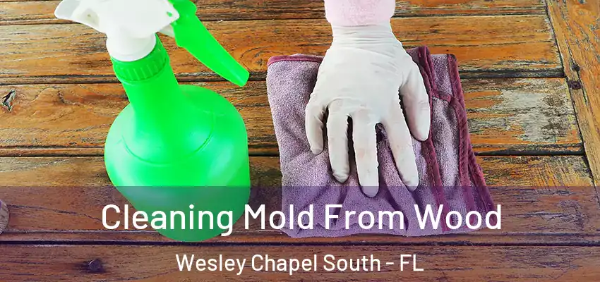 Cleaning Mold From Wood Wesley Chapel South - FL