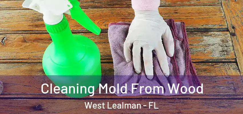 Cleaning Mold From Wood West Lealman - FL