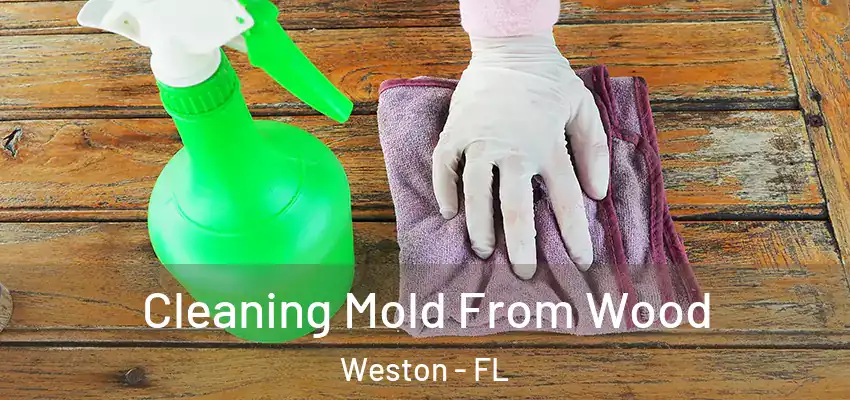  Cleaning Mold From Wood Weston - FL