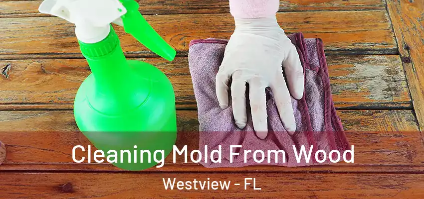  Cleaning Mold From Wood Westview - FL