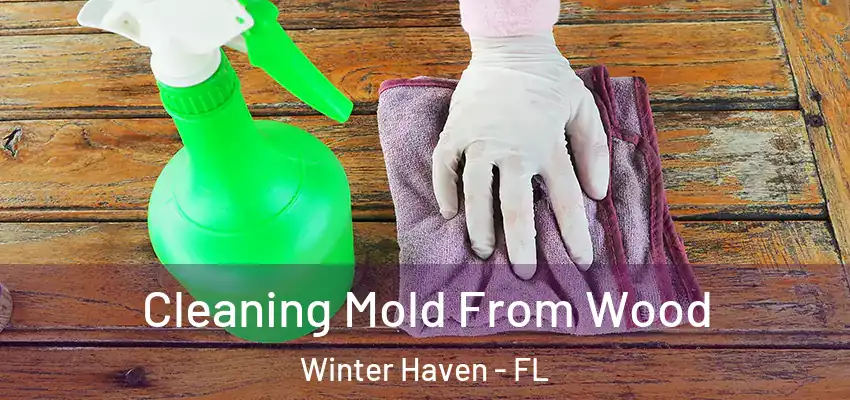 Cleaning Mold From Wood Winter Haven - FL