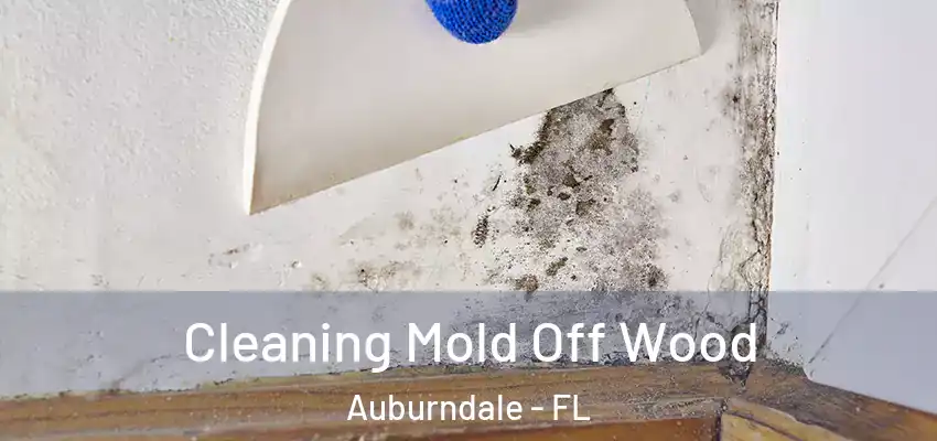  Cleaning Mold Off Wood Auburndale - FL