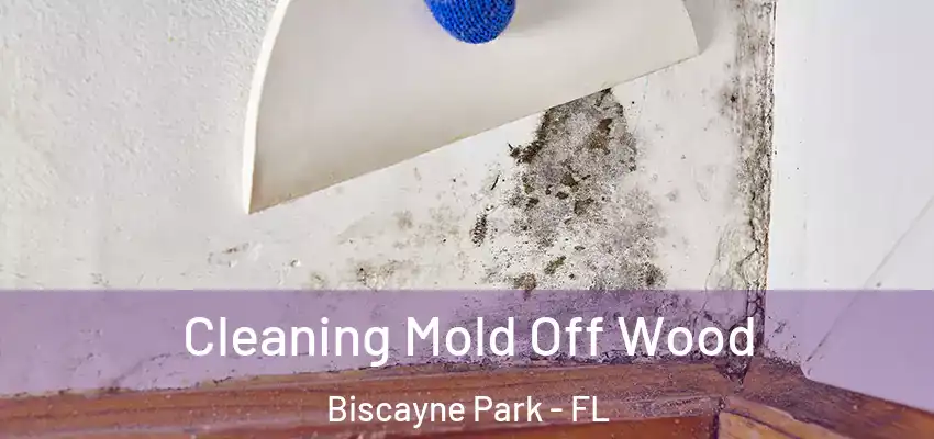  Cleaning Mold Off Wood Biscayne Park - FL