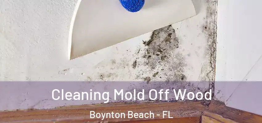  Cleaning Mold Off Wood Boynton Beach - FL