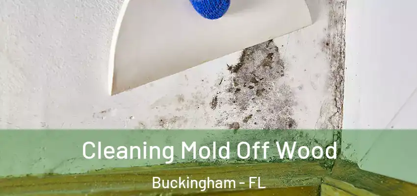  Cleaning Mold Off Wood Buckingham - FL