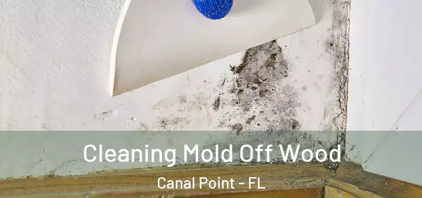  Cleaning Mold Off Wood Canal Point - FL
