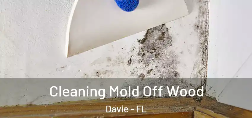  Cleaning Mold Off Wood Davie - FL