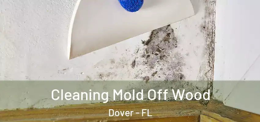  Cleaning Mold Off Wood Dover - FL