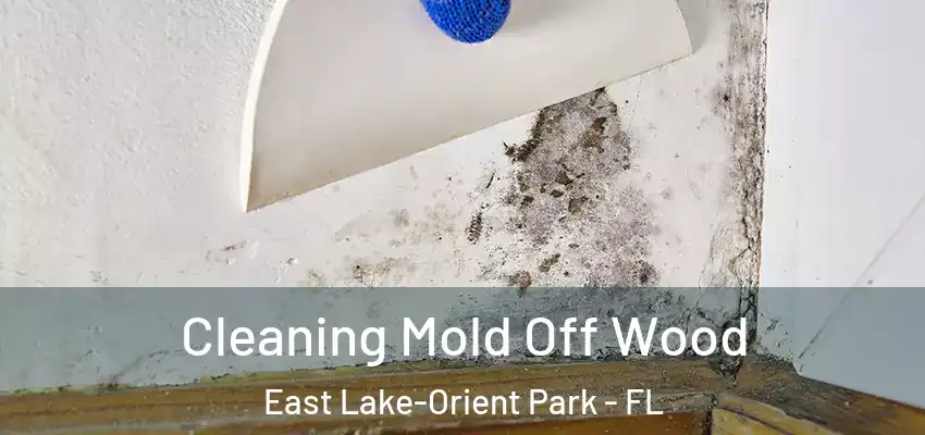 Cleaning Mold Off Wood East Lake-Orient Park - FL